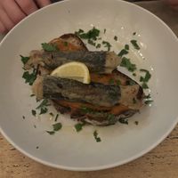   at Plantuguese in England