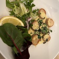 Scallops  at Plantuguese in England