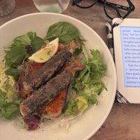   at Plantuguese in England