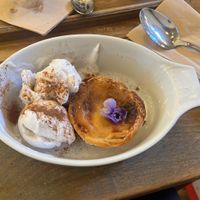   at Plantuguese in England