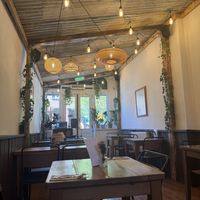 inside   at Plantuguese in Bristol