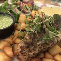 Sea Bass guitar   at Plantuguese in Bristol
