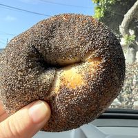 Bagel   at The Laundromat SF in San Francisco