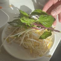 Bean sprouts and herbs  at Tamarind Vietnamese Grill and Noodle House in Calgary