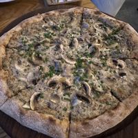   at Cynics 2 in Moscow