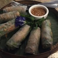 raw spring rolls at Indigo Cafe in Luang Prabang