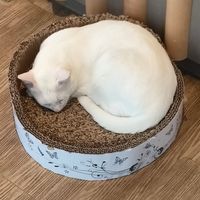  at Katzentempel Hamburg Hafencity in Hamburg