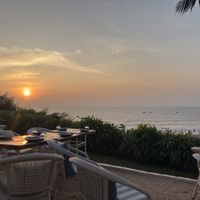 Restaurant at Olive Bar & Kitchen in Anjuna