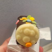 Chocolate Caterpillar Log. at Becws Môn Bakery in Llangefni
