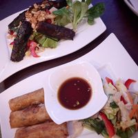 Spring Rolls & Tofu wrapped in betel leaves  at Sala in Berlin