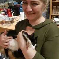 very friendly owner and cuddle cat at Vegan Community Kitchen in Istanbul