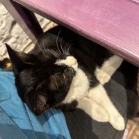   at Vegan Community Kitchen in Istanbul