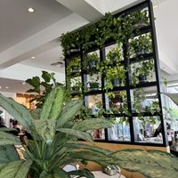 Inside   at French Riviera Bakery Cafe in Houston