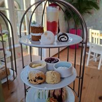 Vegan festive afternoon tea at The Orangery in Norwich