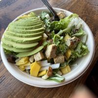   at Yuma Fritas in Rochester