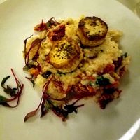 Vegan coconut milk risotto with tofu "scallops" at Small Batch in St Louis