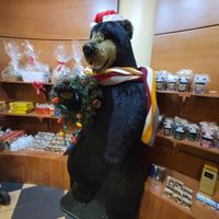 Interesting place at South Bend Chocolate Co in Indianapolis