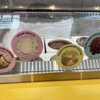 Vegan Selections  at Van Leeuwen Ice Cream in Delray Beach