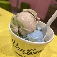   at Van Leeuwen Ice Cream in Delray Beach