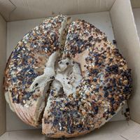 Everything bagel with hummus at Doro Marketplace - Windsor Locks in Windsor Locks