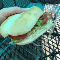 avocado sandwich   at Aroma Coffee Art Gallery in Hammondsport