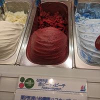 Sorbets at Gelato Lico Lico  in Hokkaido