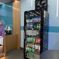 Cute ambience  at Mr. Wu Dim Sum in New York City