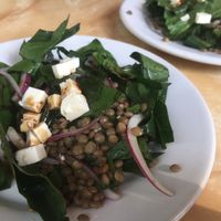 Lentil ceviche with tofu at Pan Comido - Polanco in Mexico City