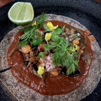 Taco  at Xiquita Restaurante y Bar in Denver