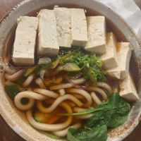 tofu udon   at SUSHI & MORE in Alameda