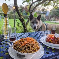  at The Heights Hotel Crag Bar in Keswick