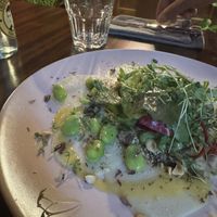Mai: Kohlrabi Carpaccio   at Die FETTE BEETE in Krefeld