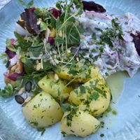 Summer special - like herring  at Die FETTE BEETE in Krefeld