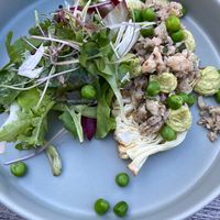 Mushroom tartare   at Die FETTE BEETE in Krefeld