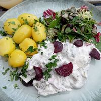  at Die FETTE BEETE in Krefeld