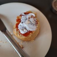 Scone at Whiskers & Cream Cat Cafe London in London