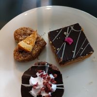 Closeup desserts at Whiskers & Cream Cat Cafe London in London