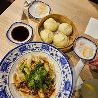 biangbiang and veggie baozi at Big Bowl in Prague
