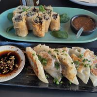 Nems and gyoza at YUSU in Ghent