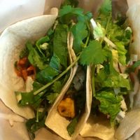 Tofu tacos at Zao Asian Cafe in Salt Lake City
