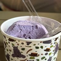 Vegan ice cream   at Helo’s in Louisiana