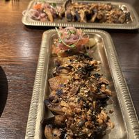 Oyster mushrooms   at Dood in Newcastle Upon Tyne