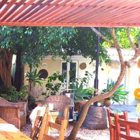 Jardim/garden at Jardim dos Sentidos in Lisbon