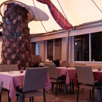 The lovely shaded back yard at Jardim dos Sentidos in Lisbon