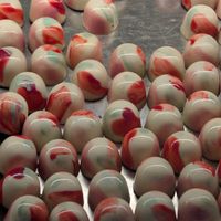 Pralines at Røros Chocolate in Trøndelag