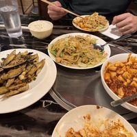 Mapo, tofu made vegetarian, garlic, eggplant, and stirfry noodle noodles with veggies  at Mala House in Boise