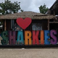 Great vibes! at Sharkies Seafood Restaurant in St Anns Bay
