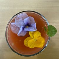 Blood orange kiwi juice  at Vegan Nation in Fujikawaguchiko