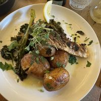   at Plantuguese in Bristol