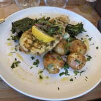   at Plantuguese in Bristol